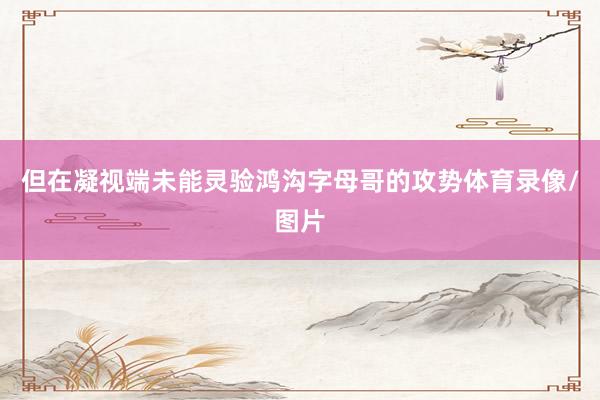但在凝视端未能灵验鸿沟字母哥的攻势体育录像/图片