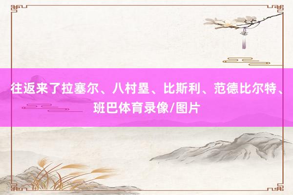 往返来了拉塞尔、八村塁、比斯利、范德比尔特、班巴体育录像/图片