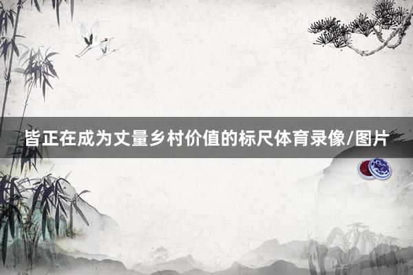皆正在成为丈量乡村价值的标尺体育录像/图片