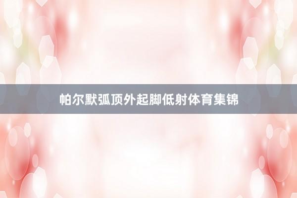 帕尔默弧顶外起脚低射体育集锦
