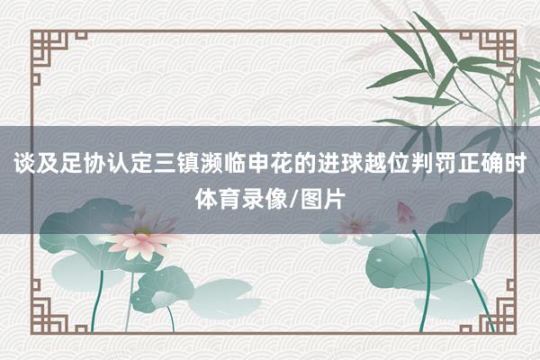 谈及足协认定三镇濒临申花的进球越位判罚正确时体育录像/图片