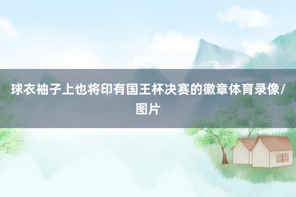 球衣袖子上也将印有国王杯决赛的徽章体育录像/图片
