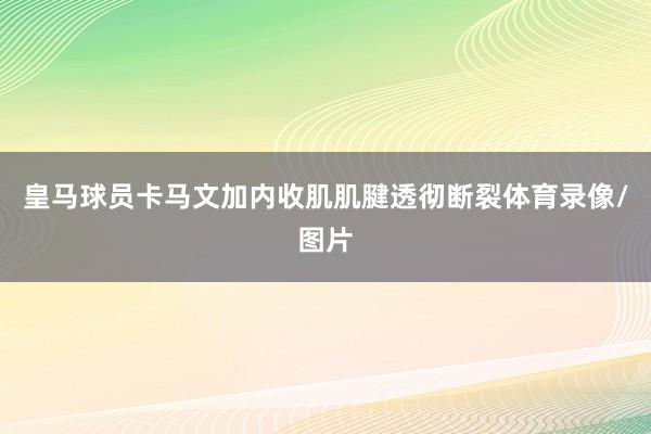 皇马球员卡马文加内收肌肌腱透彻断裂体育录像/图片