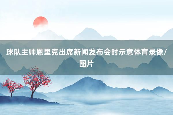 球队主帅恩里克出席新闻发布会时示意体育录像/图片