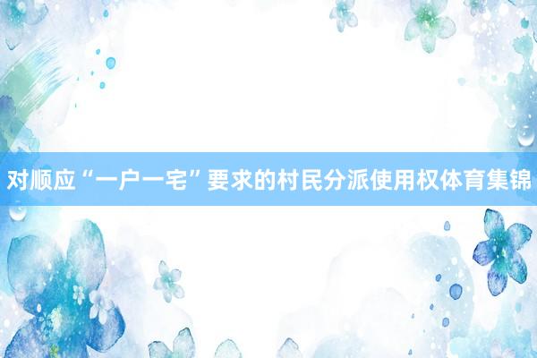 对顺应“一户一宅”要求的村民分派使用权体育集锦