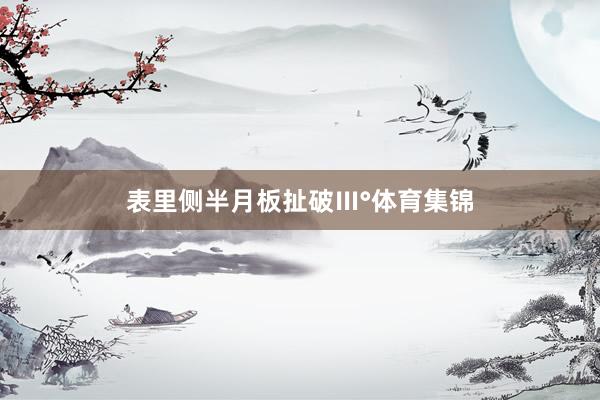 表里侧半月板扯破Ⅲ°体育集锦