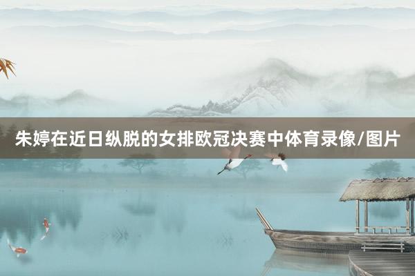 朱婷在近日纵脱的女排欧冠决赛中体育录像/图片
