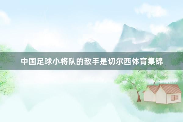 中国足球小将队的敌手是切尔西体育集锦