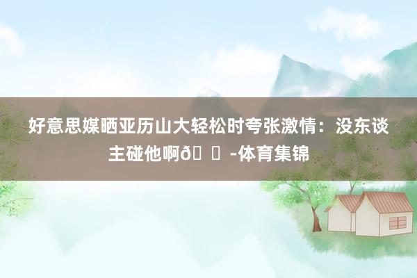好意思媒晒亚历山大轻松时夸张激情：没东谈主碰他啊😭体育集锦