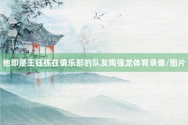 他即是王钰栋在俱乐部的队友陶强龙体育录像/图片