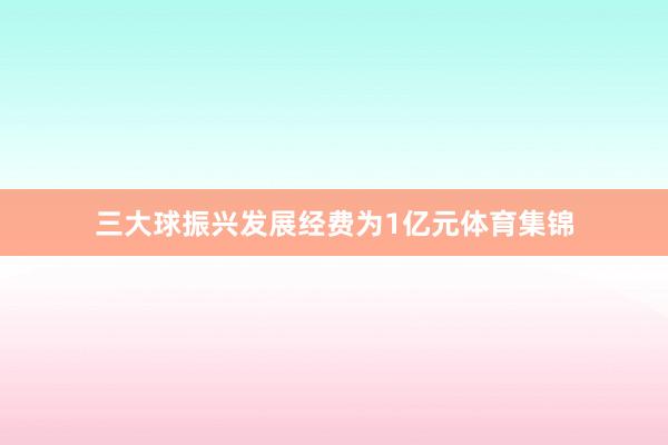 三大球振兴发展经费为1亿元体育集锦