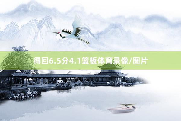 得回6.5分4.1篮板体育录像/图片