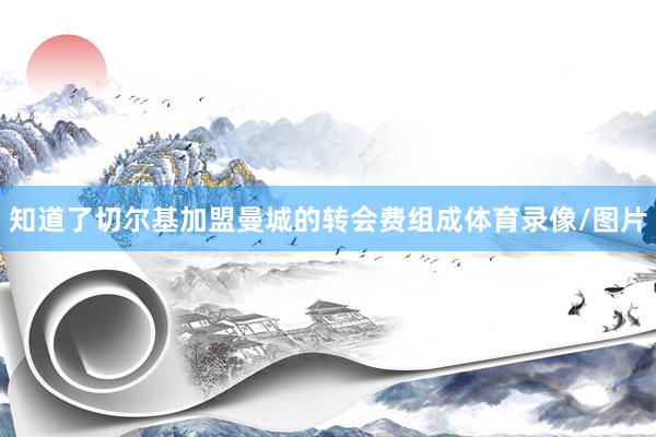 知道了切尔基加盟曼城的转会费组成体育录像/图片