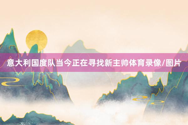 意大利国度队当今正在寻找新主帅体育录像/图片