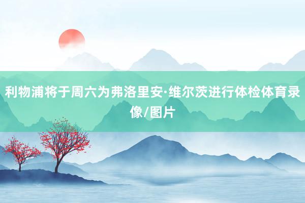 利物浦将于周六为弗洛里安·维尔茨进行体检体育录像/图片