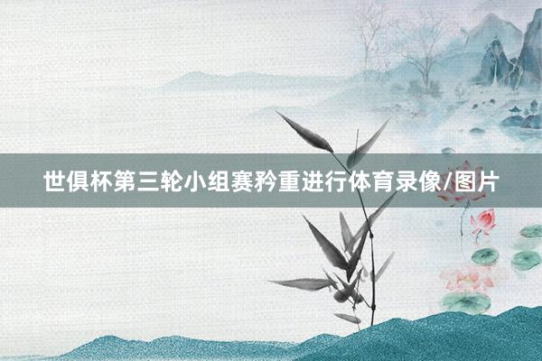 世俱杯第三轮小组赛矜重进行体育录像/图片
