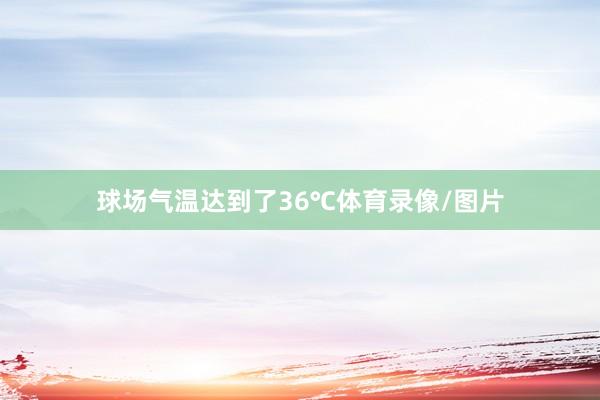 球场气温达到了36℃体育录像/图片