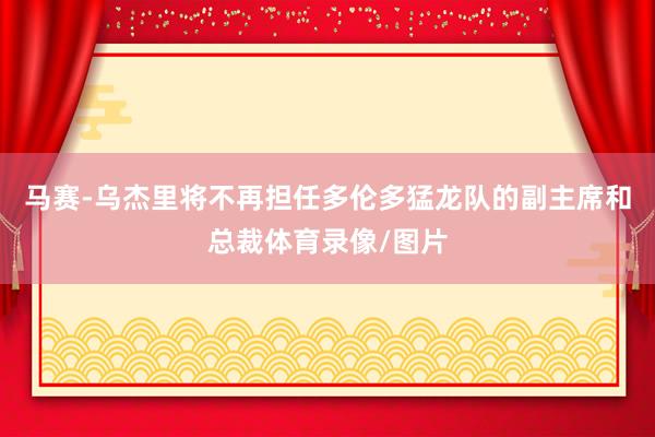 马赛-乌杰里将不再担任多伦多猛龙队的副主席和总裁体育录像/图片