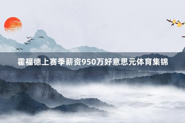 霍福德上赛季薪资950万好意思元体育集锦