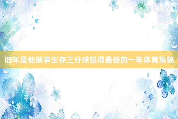 旧年是他做事生存三分球投得最佳的一年体育集锦