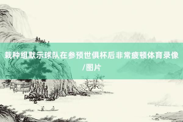 栽种组默示球队在参预世俱杯后非常疲顿体育录像/图片