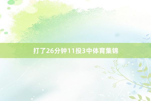 打了26分钟11投3中体育集锦