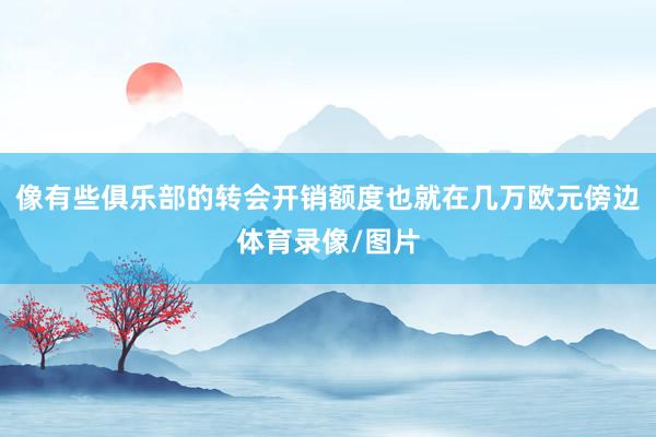 像有些俱乐部的转会开销额度也就在几万欧元傍边体育录像/图片