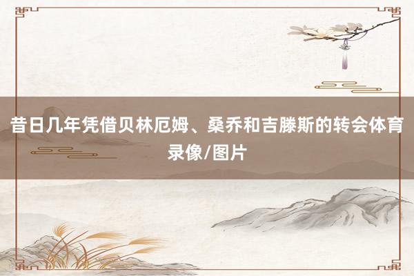 昔日几年凭借贝林厄姆、桑乔和吉滕斯的转会体育录像/图片