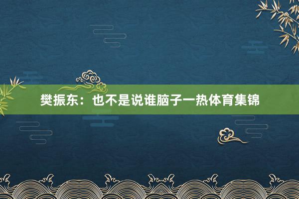樊振东：也不是说谁脑子一热体育集锦