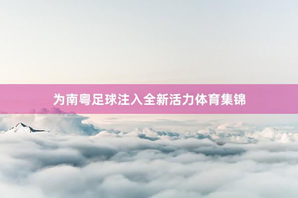 为南粤足球注入全新活力体育集锦