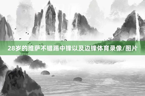 28岁的维萨不错踢中锋以及边锋体育录像/图片