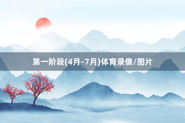 第一阶段(4月-7月)体育录像/图片