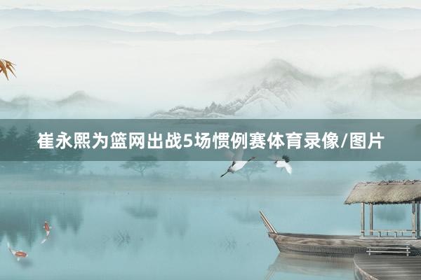 崔永熙为篮网出战5场惯例赛体育录像/图片