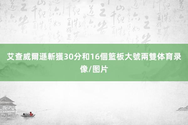 艾查威爾遜斬獲30分和16個籃板大號兩雙体育录像/图片