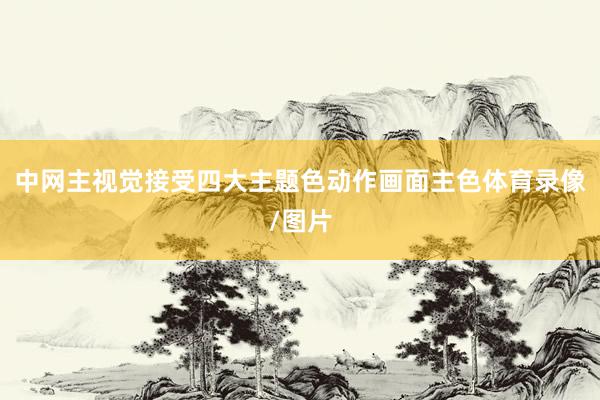 中网主视觉接受四大主题色动作画面主色体育录像/图片