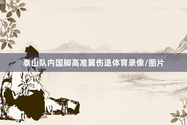 泰山队内国脚高准翼伤退体育录像/图片