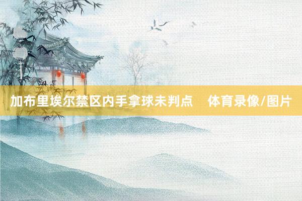 加布里埃尔禁区内手拿球未判点    体育录像/图片