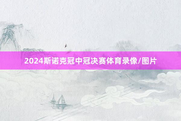 2024斯诺克冠中冠决赛体育录像/图片