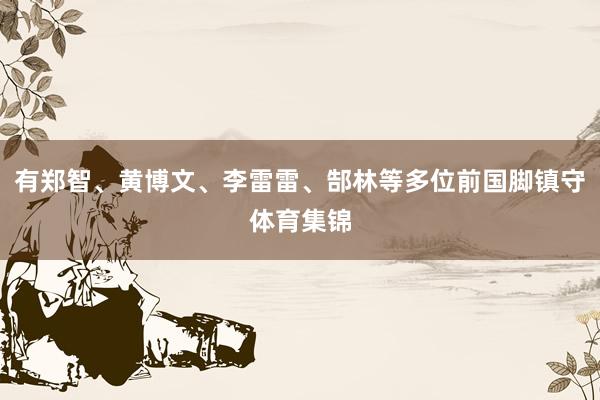 有郑智、黄博文、李雷雷、郜林等多位前国脚镇守体育集锦