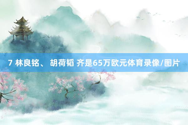 7 林良铭、 胡荷韬 齐是65万欧元体育录像/图片