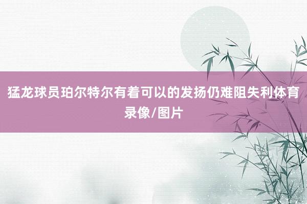 猛龙球员珀尔特尔有着可以的发扬仍难阻失利体育录像/图片