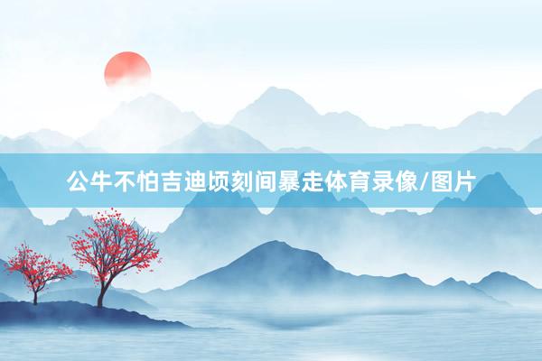 公牛不怕吉迪顷刻间暴走体育录像/图片
