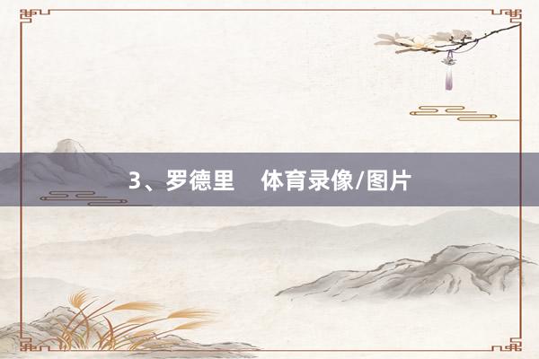 3、罗德里    体育录像/图片