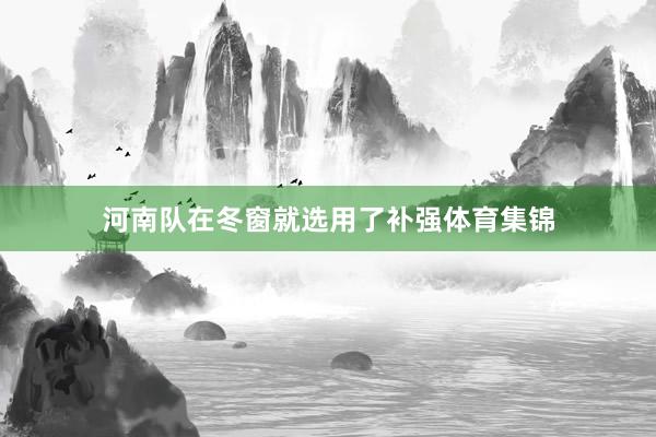 河南队在冬窗就选用了补强体育集锦