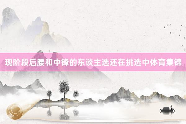 现阶段后腰和中锋的东谈主选还在挑选中体育集锦
