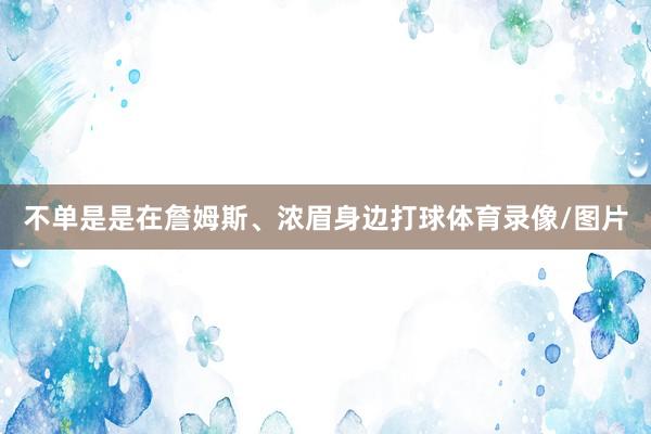 不单是是在詹姆斯、浓眉身边打球体育录像/图片