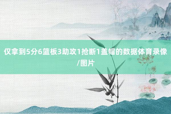 仅拿到5分6篮板3助攻1抢断1盖帽的数据体育录像/图片