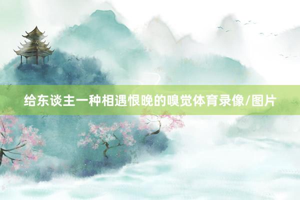 给东谈主一种相遇恨晚的嗅觉体育录像/图片