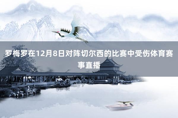 罗梅罗在12月8日对阵切尔西的比赛中受伤体育赛事直播
