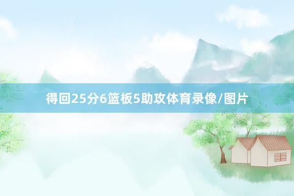 得回25分6篮板5助攻体育录像/图片